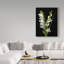 «Gladiola 2» par Dosta, impression sur toile tendue-29225256