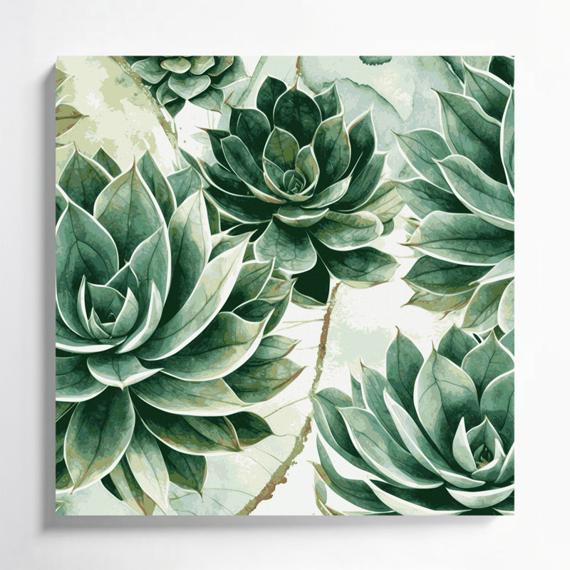 Art mural sur toile Botanical Haworthia, H 12 po x l 12 po
