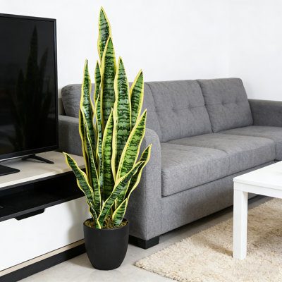 93cm Faux Snake Plant (Sansevieria) Plant