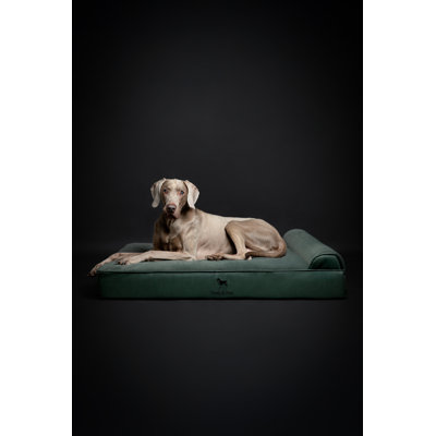  Lit orthopédique pour chien géant XXL, mousse viscoélastique infusée de gel rafraîchissant, imperméable, lavable à la machine, avec housse intérieure (similicuir)