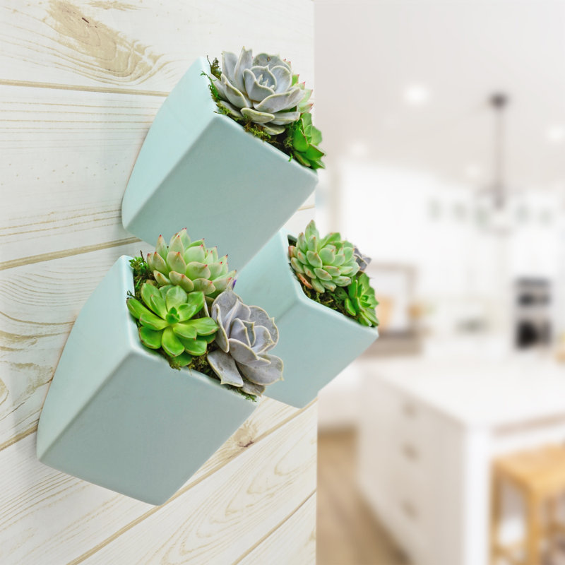 Eakin Ceramic Wall Planter, Mint