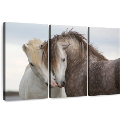Chevaux Hardie