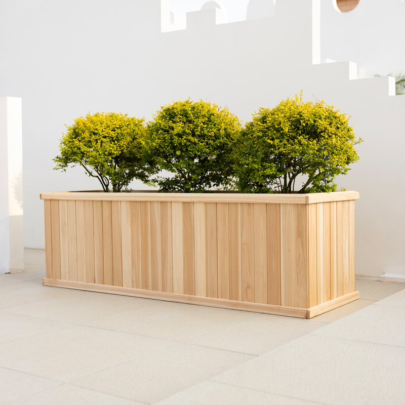 Boîte à fleurs rectangulaire en cèdre massif avec trous de drainage Barros, H 22,5 po x l 72 po x P 22,5 po, Naturel