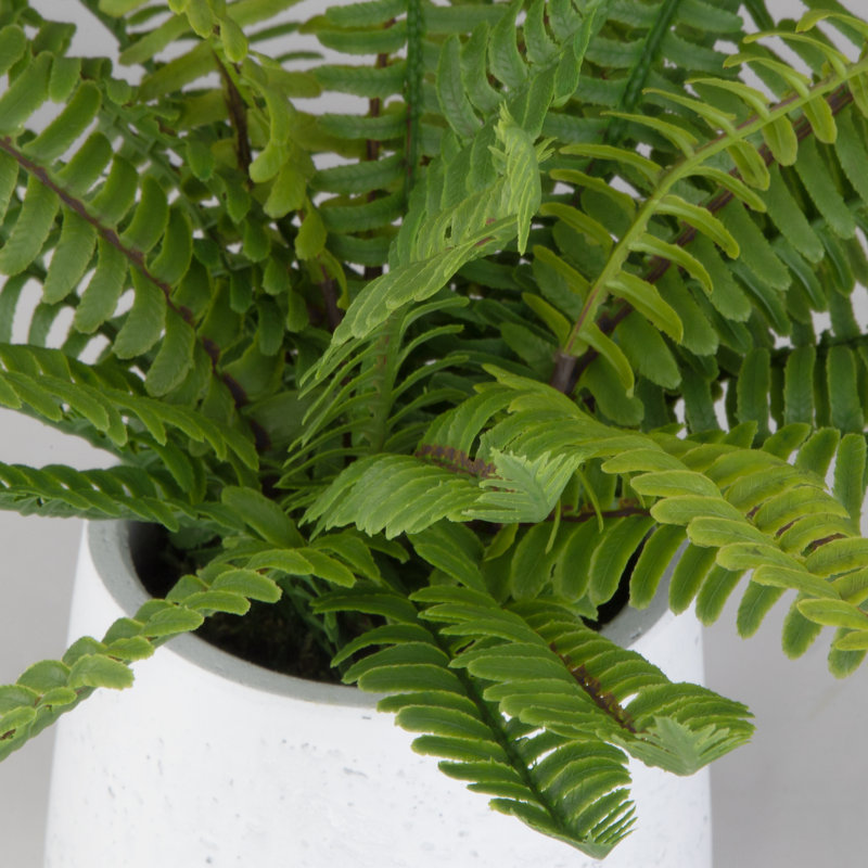 Uttermost Boston Fern In White Ceramic Pot
