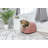 Pet Bed-6347885
