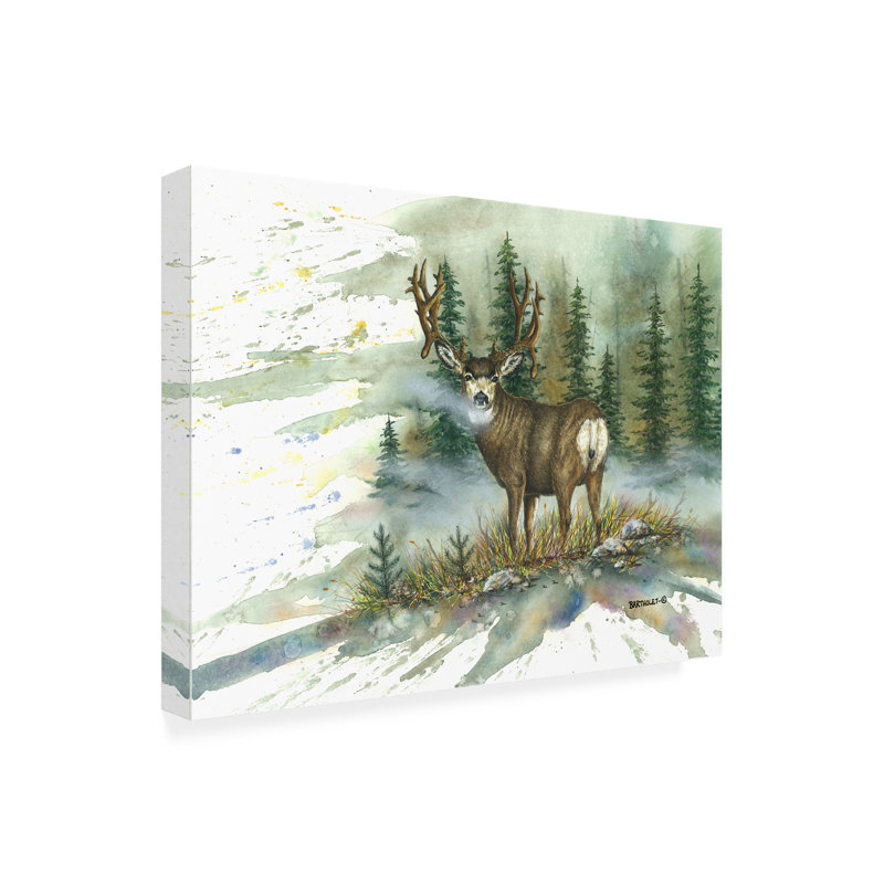«Dave Bartholet Muley Back Glance», art sur toile, H 14 po x l 19 po