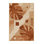 Tapis moelleux et moelleux à motif abstrait moderne et contemporain Brestewood Monstera brun - Reliure brun clair
