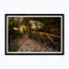 Trail To Lycabettus Print by Tim Klein
