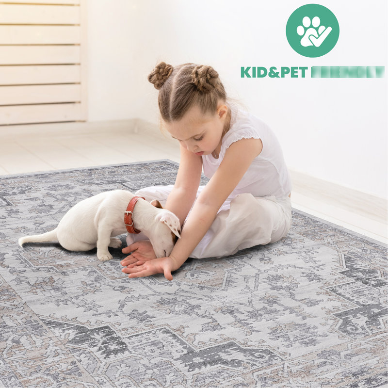 Tapis 5 x 7 tissé et tissé - doux et confortable, sans perte de teinture, teinture pour chambre à coucher facile à nettoyer, bureau
