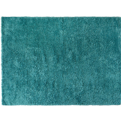 Wool Indoor Rug