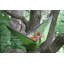 Lucia Double Camping Hammock-12808952-23276596