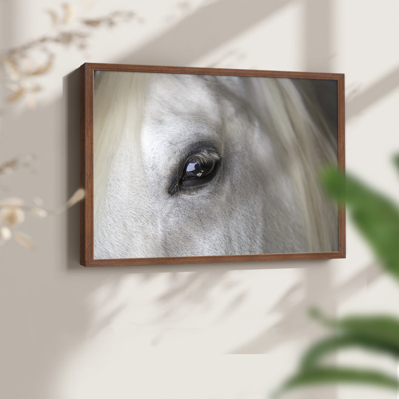 Balearic Island Horse -Framed Print - Restickable, H 22 po x l 28 po, Noyer
