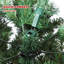 31' H Christmas Tree
