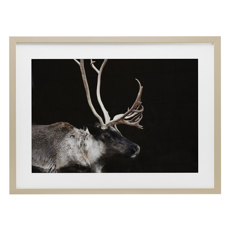 «Dark Reindeer at Night», reproduction sous verre encadrée, conception par Amy Carroll, H 14 po x l 20 po