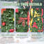 Arbre de Noël Pop-Up-1547684500