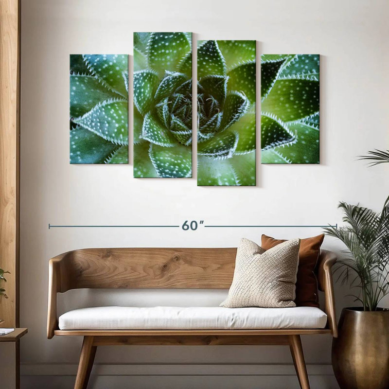 Harnek Lace Aloe Succulent, 32" H x 52" W