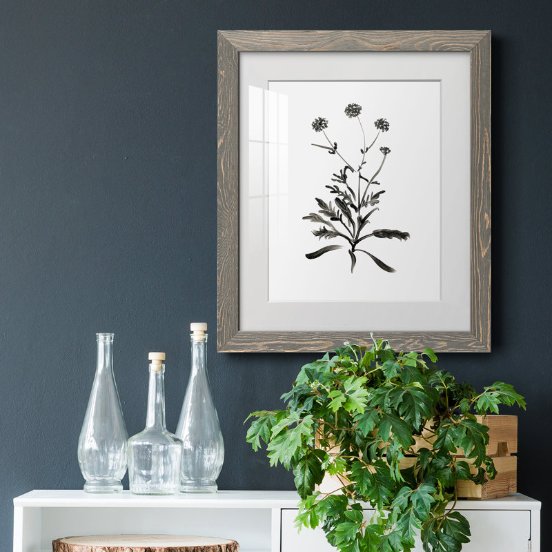 Inky Botanical I - peinture encadrée, Encadré gris, H 24 po x l 18 po x P 1,5 po