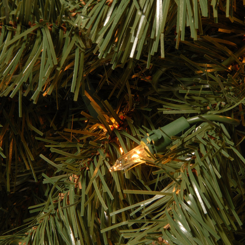 Fir Wreath with Clear Lights, 24" H x 24" W x 24" D