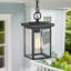 Luminaire suspendu d'extérieur 1 lumière Dekotah-1404707451