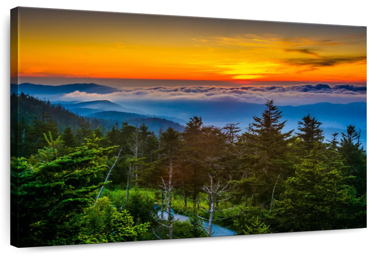 Millwood Pines Alvord Clingmans Dome Dramatic Sunset | Wayfair