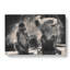 Mountain Monkeys - Wrapped Canvas-61842128