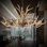 Lustre traditionnel / classique à 8 lumières Analleli