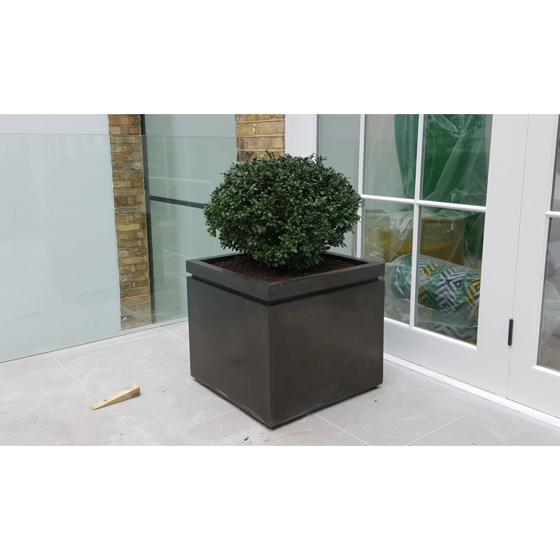 Melvina Handmade Pot Planter, H75 x W80 x D80cm