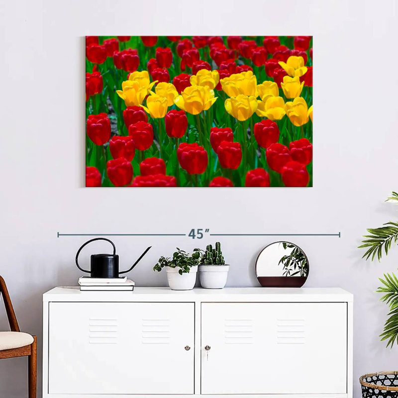 Harnek Wisconsin Spring Tulips, 30" H x 45" W