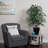 4' Artificial Variegated Ficus Bush, Square Willow Basket
