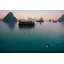 Halong Bay Swim - Picture Frame Photograph on Paper -74856167-87887054