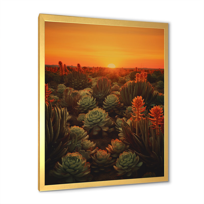 Succulent cactus du désert brûlant au coucher du soleil I, Cadre doré simple, H 32 po x l 24 po x P 1 po