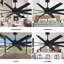 Ariella - Eight Blade Ceiling Fan - Brushed Brass Finish - Matte Black Blades-1855432140-1855432142