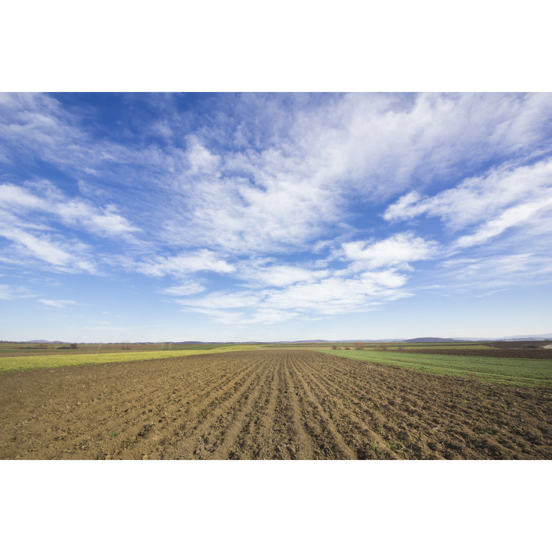 Ackerfeld unter den Wolken von Marccophoto - Druck auf Leinwand ohne Rahmen