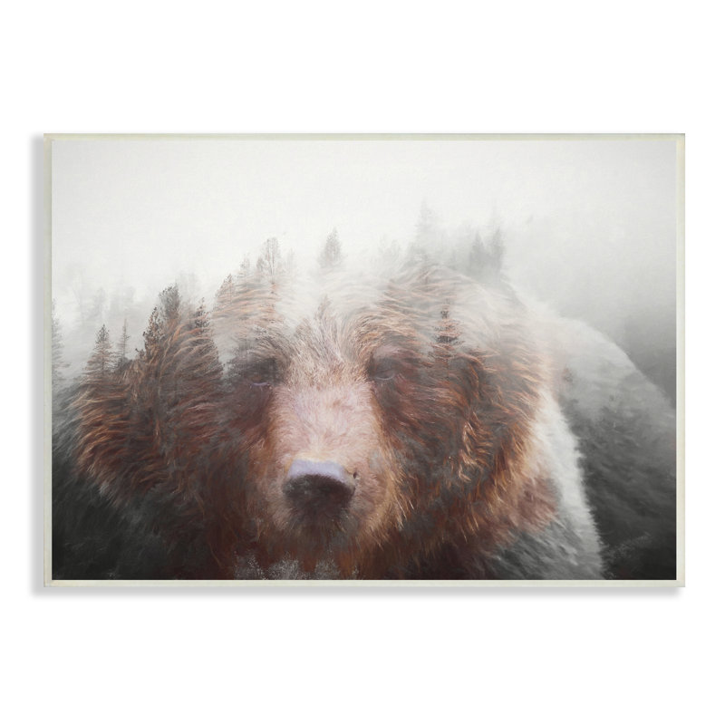 Abstrait, vie sauvage, ours brun, forêt brumeuse, art mural par Daniel Sproul, H 10 po x l 15 po x P 0,5 po
