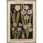 Black Background Botanicals Print