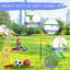 SENCHO GINSYTALIOR Swing Set with 1 Swing(s) , 1 Slide(s)-1812137892