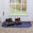 RITZ Accent Rug-1343899565-1343899562
