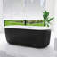 67 po X 31 po Baignoire de trempage autoportante en acrylique noire