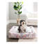 Tapis pour lit de qualité supérieure Rugs.com-100613957-110734653