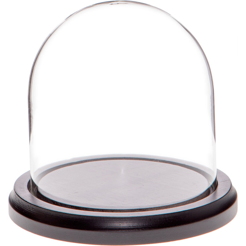 Cloche en verre Vucciria, 4" H × 4" W × 4" D, Structure noire en bois