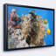 «Coral Scene Panorama», photographie encadrée sur toile-26664571