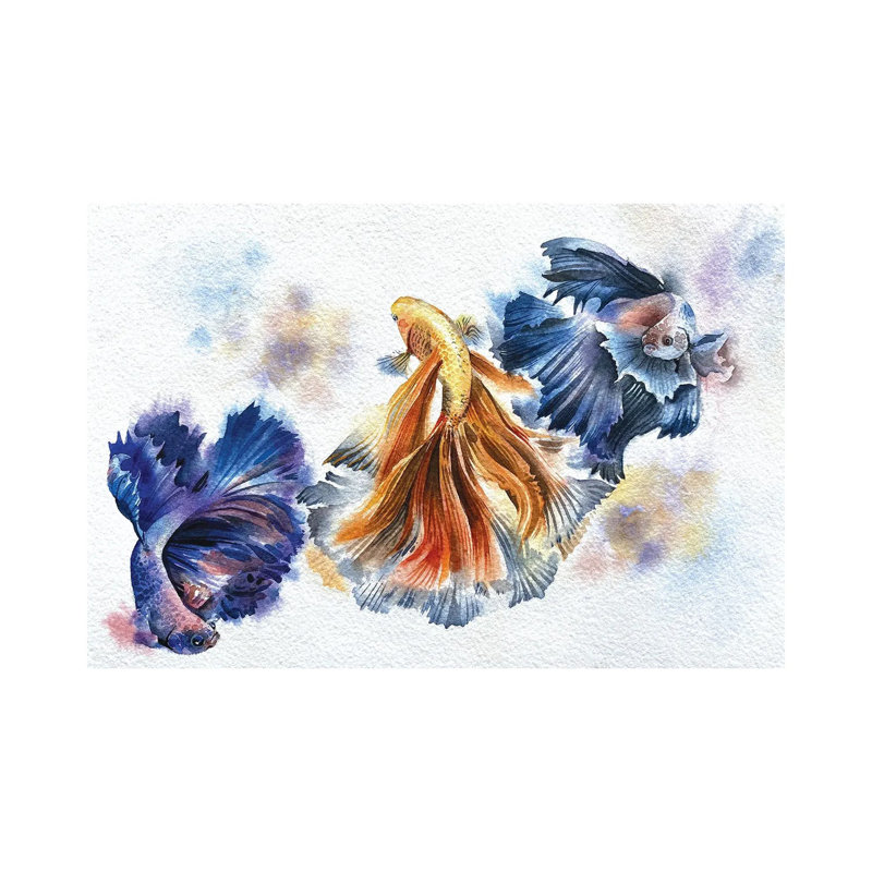Beta Fish 1 Piece Wrapped Canvas Painting, 30.48 cm H x 45.72 cm W