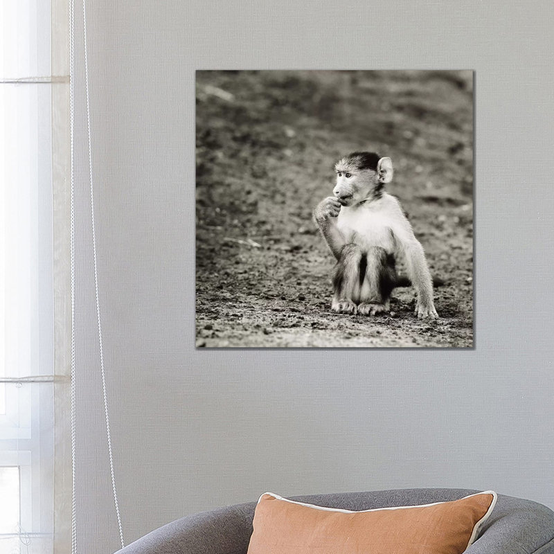 B And W Cheekey Monkey by Klaus Tiedge - Wrapped Canvas Print, 66.04 cm H x 66.04 cm W x 1.91 cm D