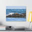 «Seal Group Chilling on the Coastline», art mural-241837688
