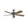 60" Oasis 5 - Blade Standard Ceiling Fan with Pull Chain