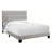 Rojus Kids-477945981-477945976