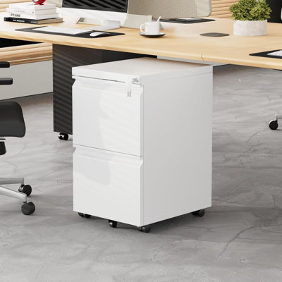 37 cm W 2 -Drawer Wheels / Casters included Mobile Steel Filing Cabinet