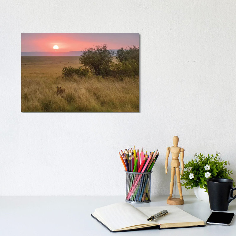 Africa, Kenya, Maasai Mara National Reserve. Lioness In Grass At Sunset. by Jaynes Gallery - Wrapped Canvas Painting