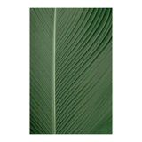 Chic and Elegant Soft Pile Rug with Geometric Patterns for a Classy Home Enhancement