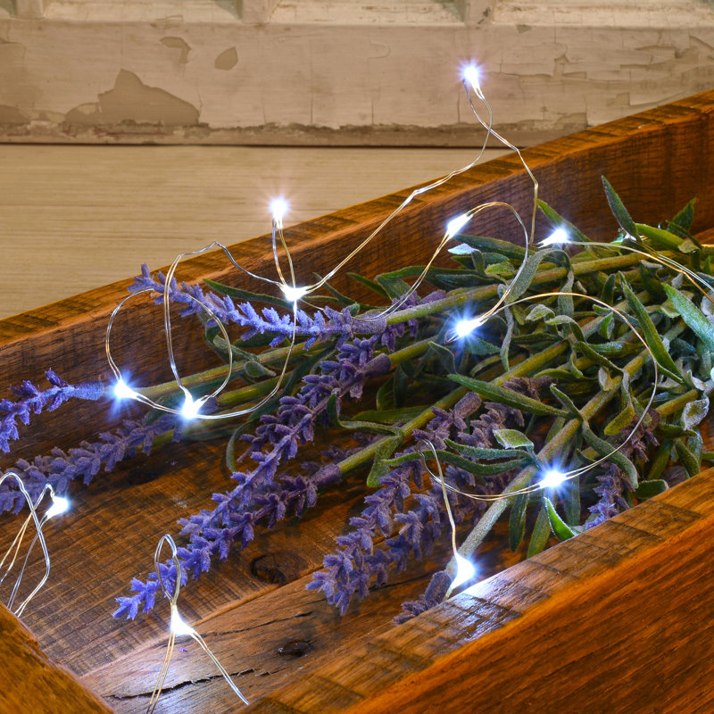 Lapidus Battery Operated LED Fairy String Lights - 3 Count, Bright White